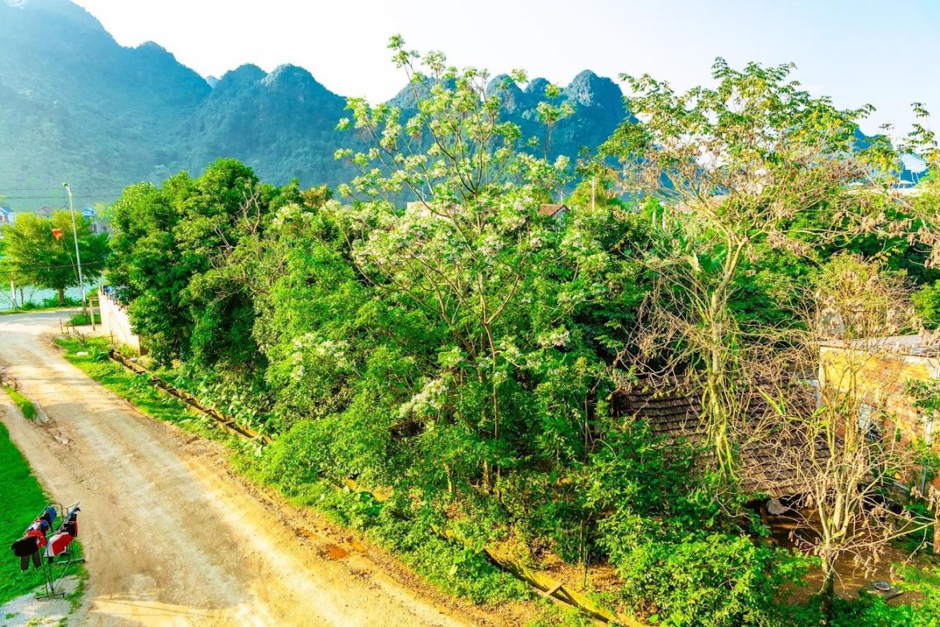 Phong Nha Cherish House Luaran gambar